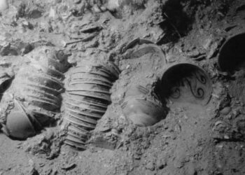 Jejak Pelayaran dan Perniagaan Maritim Global di Kawasan Perairan Belitung